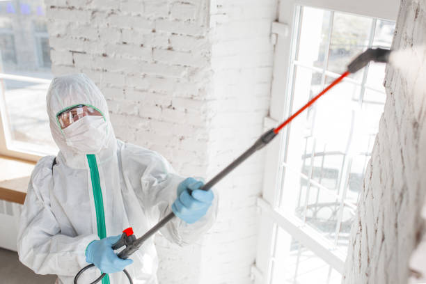 Best Mold Remediation for Healthcare Facilities  in Grand Rapids, MI